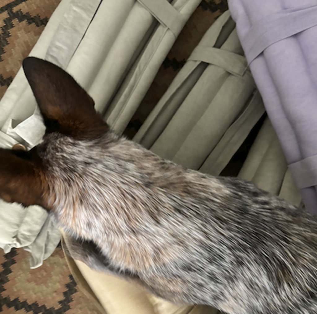 camita portátil - Imagen 2