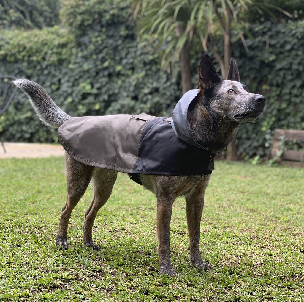 piloto de lluvia - Imagen 2